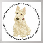 Wheaten Scottish Terrier Ponders Print