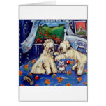 Wheatens on bed with teddy bear greeting card