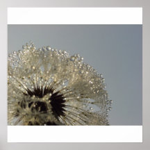 Wheel of droplets - Dandelion with droplets Print