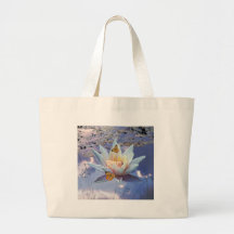 When a little baby goes to sleep bags