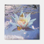 When a little baby goes to sleep refrigerator magnet