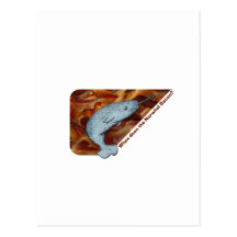 When Does the Narwhal Bacon? Post Card
