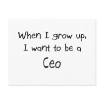 When I grow up I want to be a Ceo Post Card