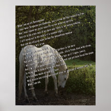 When I'm an Old Horsewoman III Print