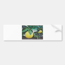 When Life Gives You Lemons Bumper Sticker