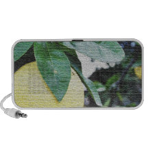 When Life Gives You Lemons Travel Speaker