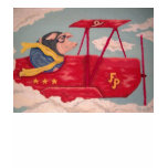 When Pigs Fly T-shirt