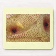 When Starfish Embrace Mousepad