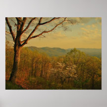 when the Blue Ridge is warm Poster
