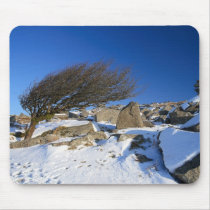 When The North Wind Blows..... Mousepad