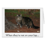 When they're not on your lap... cards