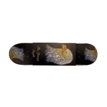 Where Eagles Soar Skate Board