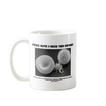 Where Have I Seen This Before? Blood Cells Coffee Mugs