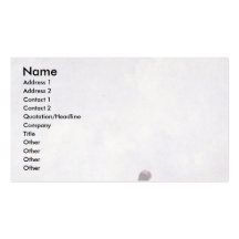 Where Is The Pass? By Spitzweg, Carl Business Card Templates