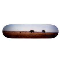 where the buffalo roam skate board decks