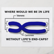 Where Would We Be In Life Without Life's End Caps? Flyers