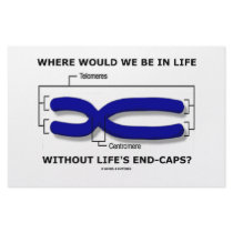 Where Would We Be In Life Without Life's End Caps?