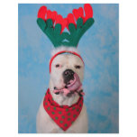 Where's my egg nog? full color flyer