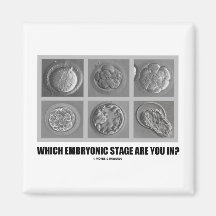 Which Embryonic Stage Are You In? (Embryos) Magnets