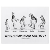 Which Hominoid Are You? (Hominid Skeletons)