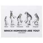 Which Hominoid Are You? (Hominid Skeletons) flyers