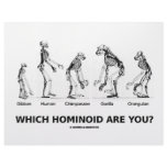 Which Hominoid Are You? (Hominid Skeletons) letterhead
