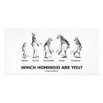 Which Hominoid Are You? (Hominid Skeletons)