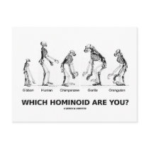 Which Hominoid Are You? (Hominid Skeletons)