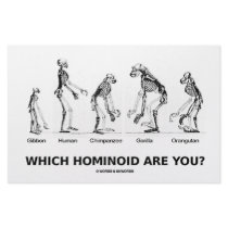 Which Hominoid Are You? (Hominid Skeletons)