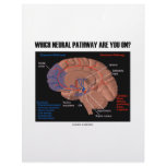 Which Neural Pathway Are You On? Custom Letterhead