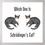 Which One Is Schrodinger's Cat? Print