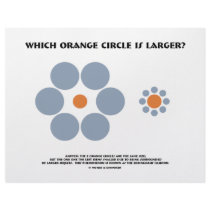 Which Orange Circle Is Larger? (Optical Illusion)
