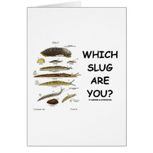 Which Slug Are You? Greeting Card