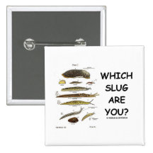 Which Slug Are You? Pinback Buttons