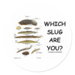 Which Slug Are You? stickers