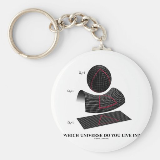 Which Universe Do You Live In? (Physics Humour) Key Chains