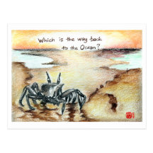 Which Way is the Ocean? Post Card