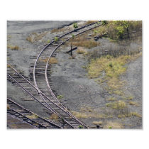 Which Way Now ? 10x8 Photographic Print