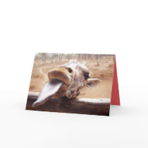 WHIMSICAL VALENTINES DAY GREETING CARDS - GIFTS