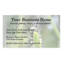 Whimsical Young Monarch Butterfly Caterpillar Business Card Template