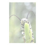 Whimsical Young Monarch Butterfly Caterpillar Personalized Stationery