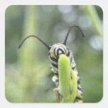 Whimsical Young Monarch Butterfly Caterpillar Square Sticker
