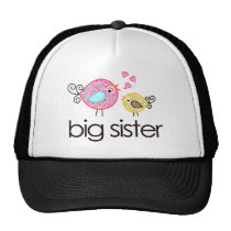 Whimsy Birds Big Sister T-shirt Announcement hats