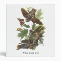 Whip-poor-will, John Audubon Binder