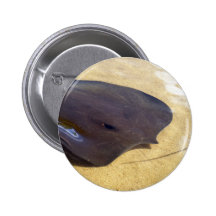 Whip Ray Pins