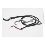 WhipHandcuffs103110 Cards