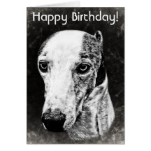 Whippet dog greeting cards