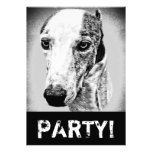Whippet dog invites