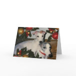 Whippet Mother and Pup Card