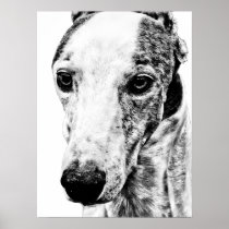 WHIPPET PRINT